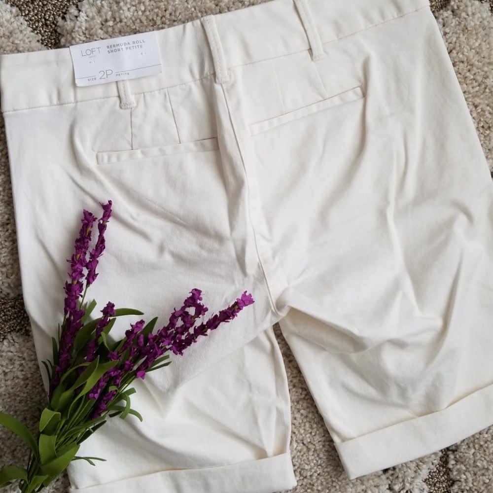 Light Cream Bermuda Roll Shorts | Size 2 - Picture 4 of 5